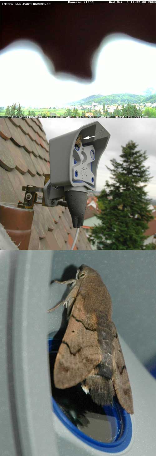objekte010006