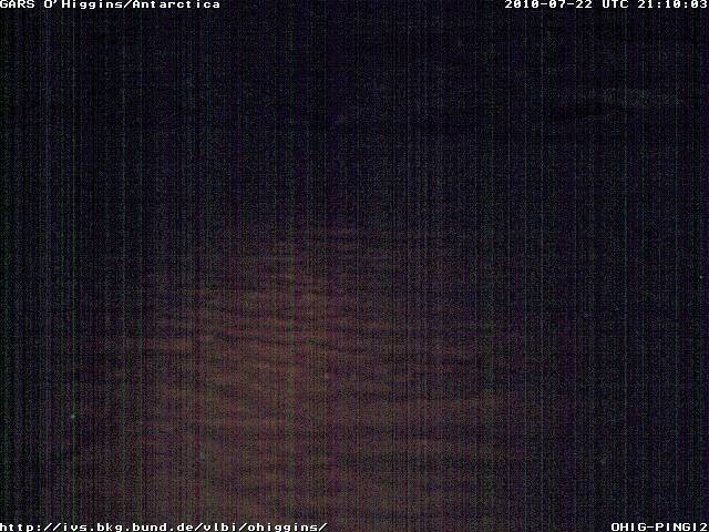 Pinguin Nachtlicht ?
