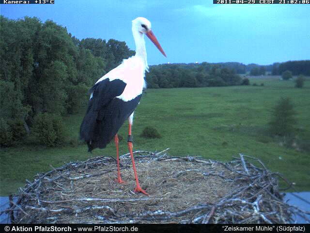 Abendbesuch