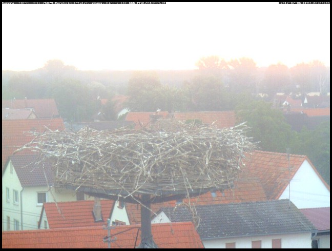 Alle weg ... >>>>
