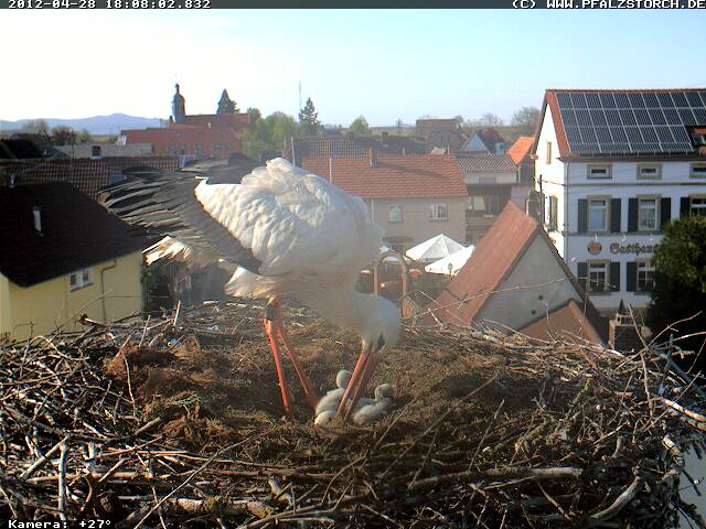 Guck mal, da ist ein Loch im Ei!