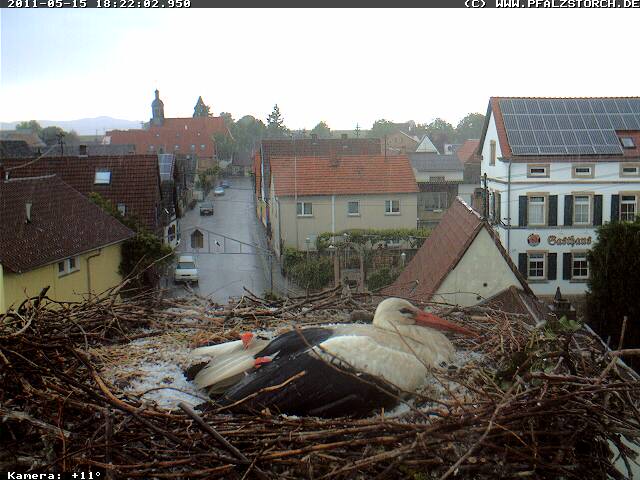 Hagel, und wie!