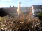 Einblick Einblick