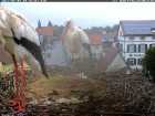 Wo ist das Ei ??