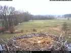 Liegt da ein Ei im Nest ??? ... Liegt da ein Ei im Nest ??? ...