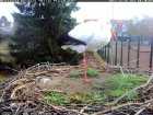 Und täglich grüßt das Murmeltier...äh der Storch... Und täglich grüßt das Murmeltier...äh der Storch...