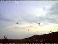 Mauersegler - Abendflug Mauersegler - Abendflug